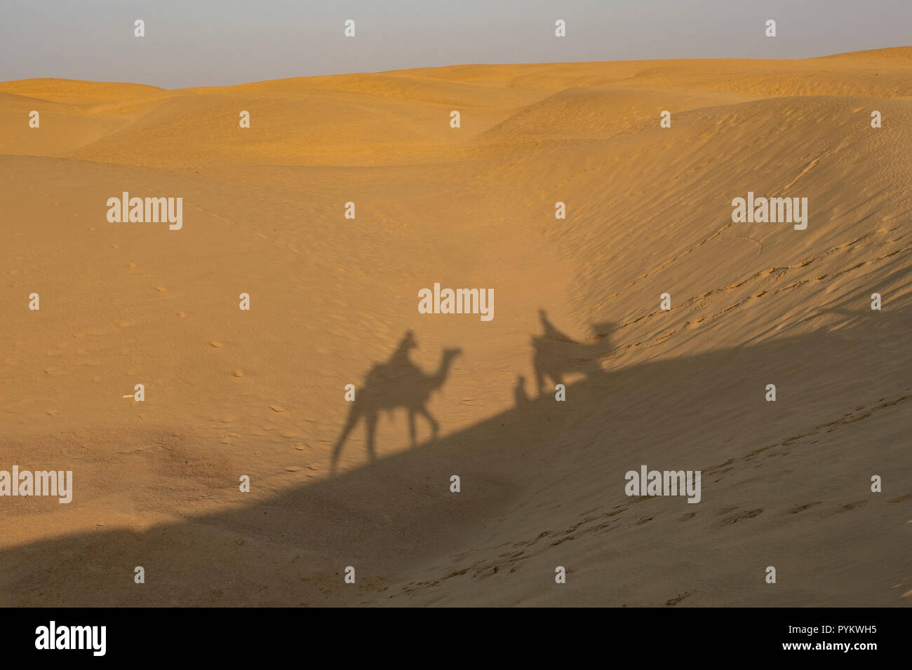 Shadows of Camel Riders in Sam Desert, near Jaisalmer, Rajasthan, India Stock Photo