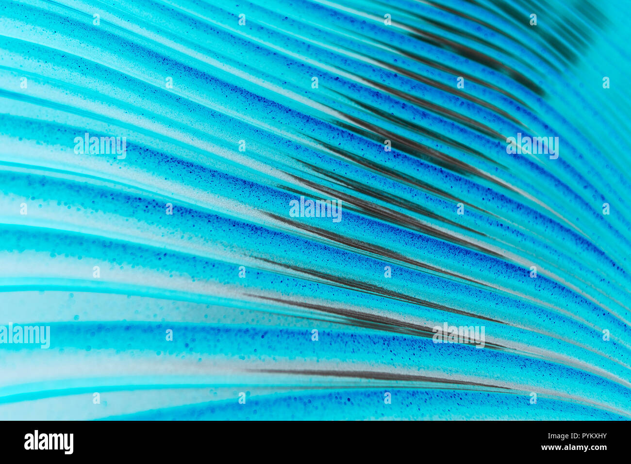 Abstract thin blue lines on a black background Stock Photo