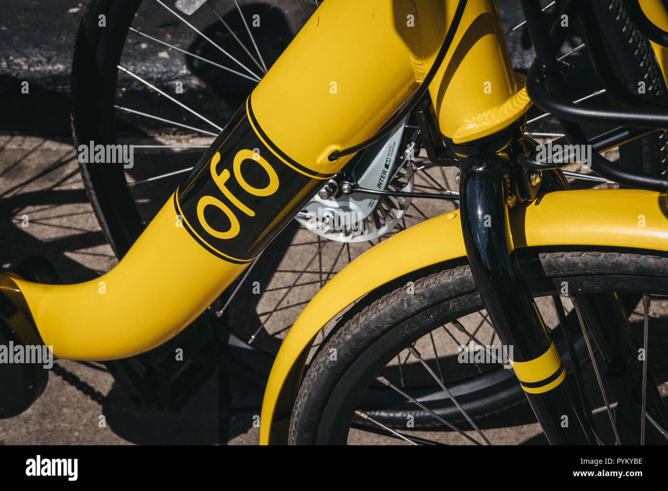 Ofo bike website shop