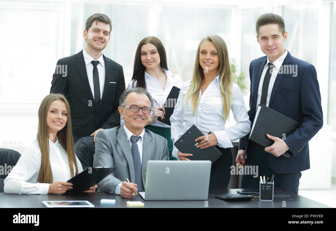 portrait of a professional business team in the office Stock Photo - Alamy