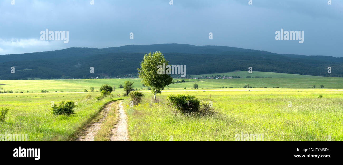 BULGARIA, path leading through green fields towards blue mountains Stock Photo