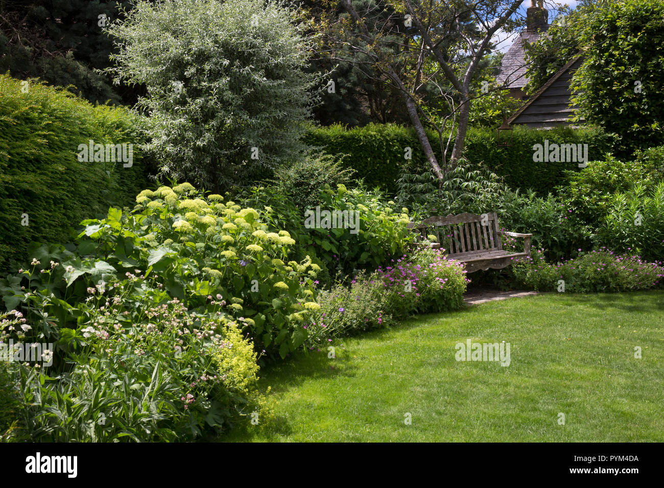 summer boarder in English Garden with wooden bench ,England,Europe Stock Photo