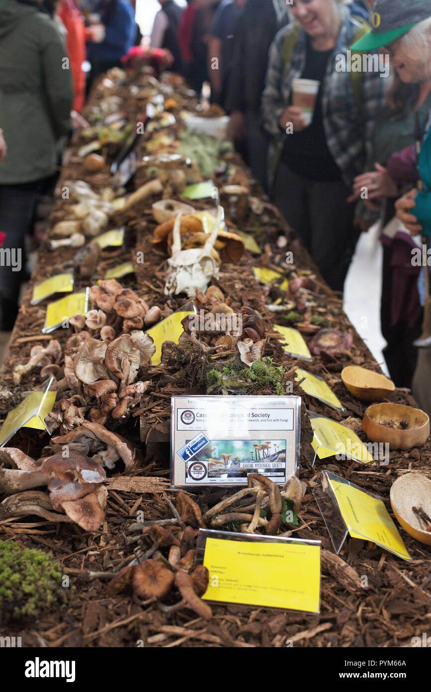 Attendees look at samples of various mushrooms, at the Mushroom