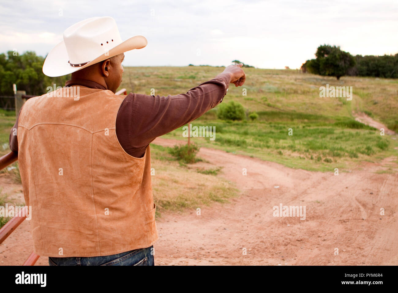 Rear view of an African American cowboy. Stock Photo