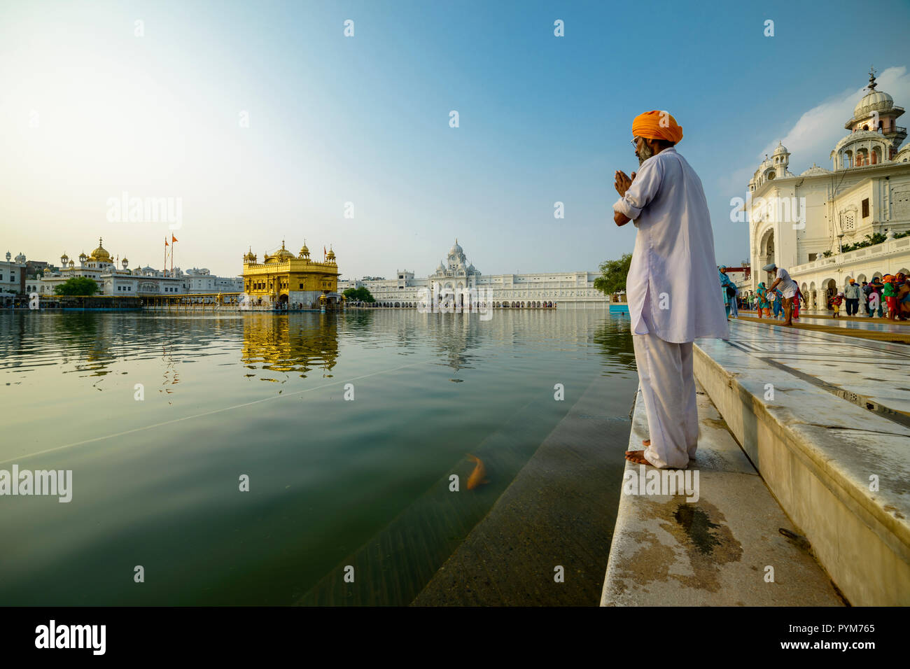 A Sikh devotee is standing and praying at the holy pool of the ...
