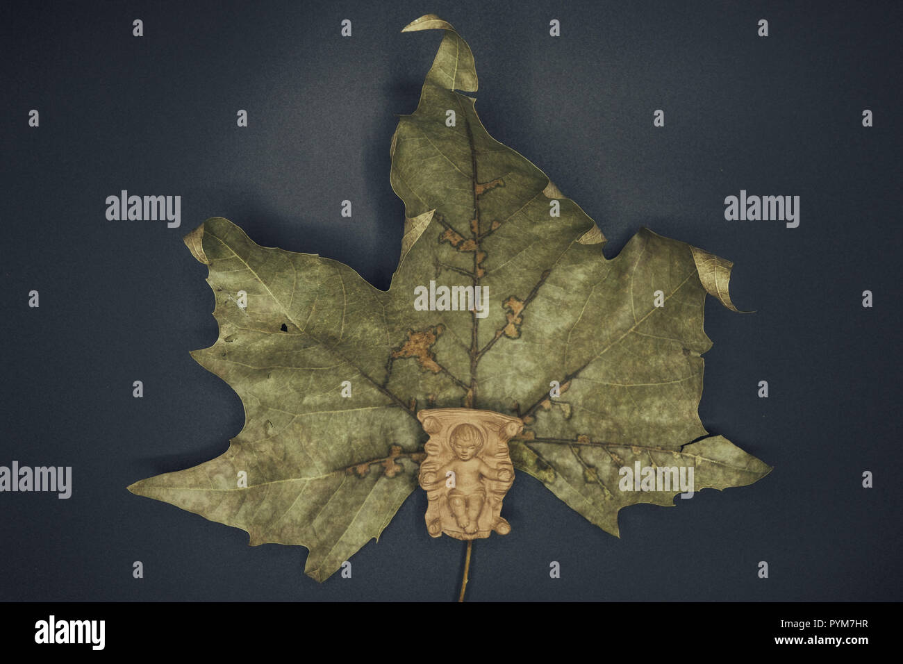 Baby Jesus Christ In The Manger On A Dry Leaf Isolated On Black