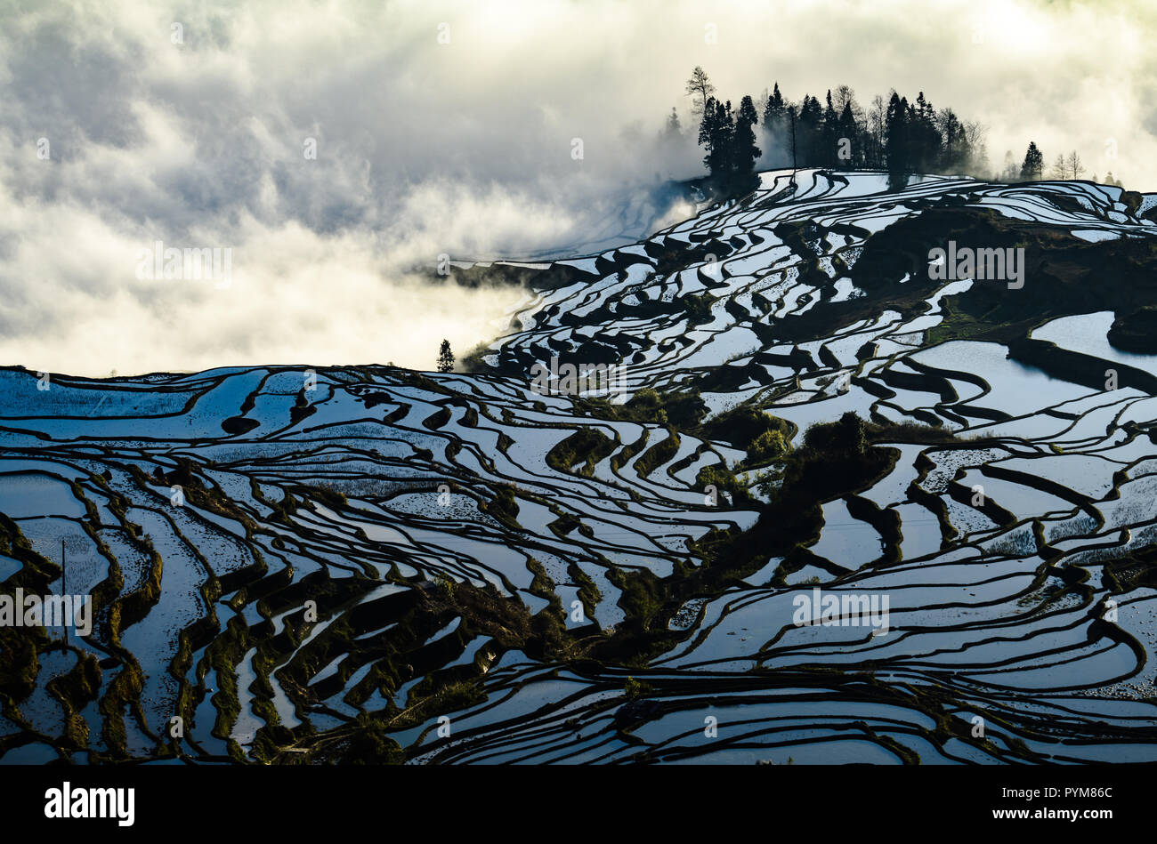Yunnan china rice terrace hi-res stock photography and images - Alamy