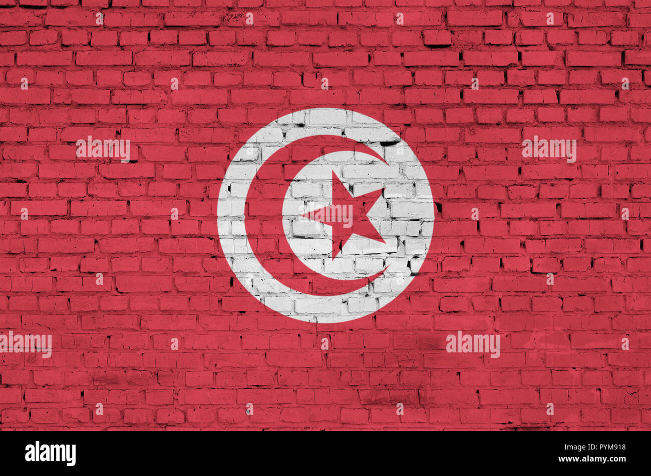 Tunisia flag is painted onto an old brick wall Stock Photo - Alamy