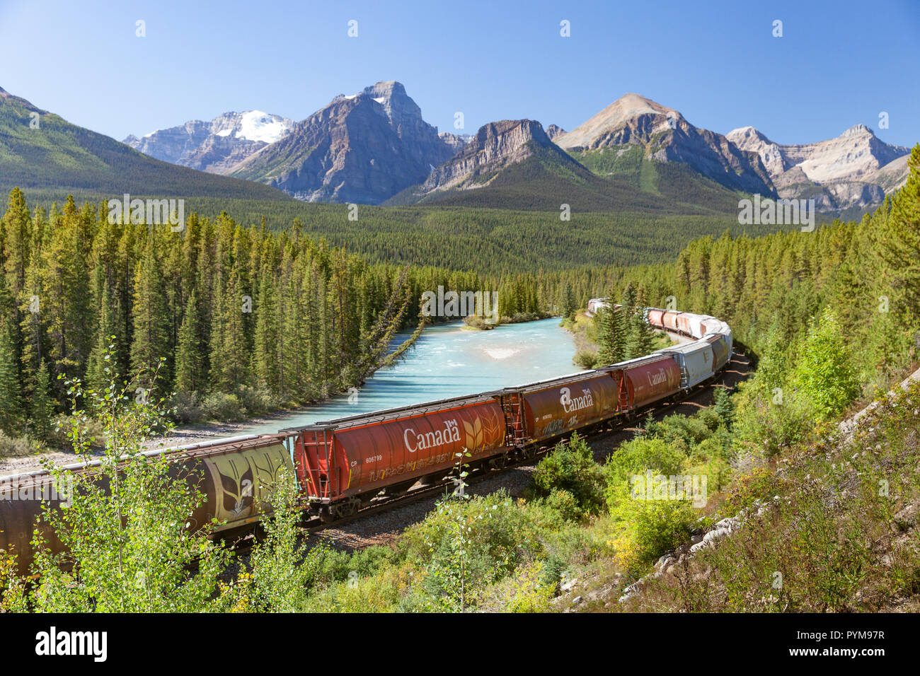 Train traveling through the Canadian Rocky Mountains, Alberta, Canada Stock Photo