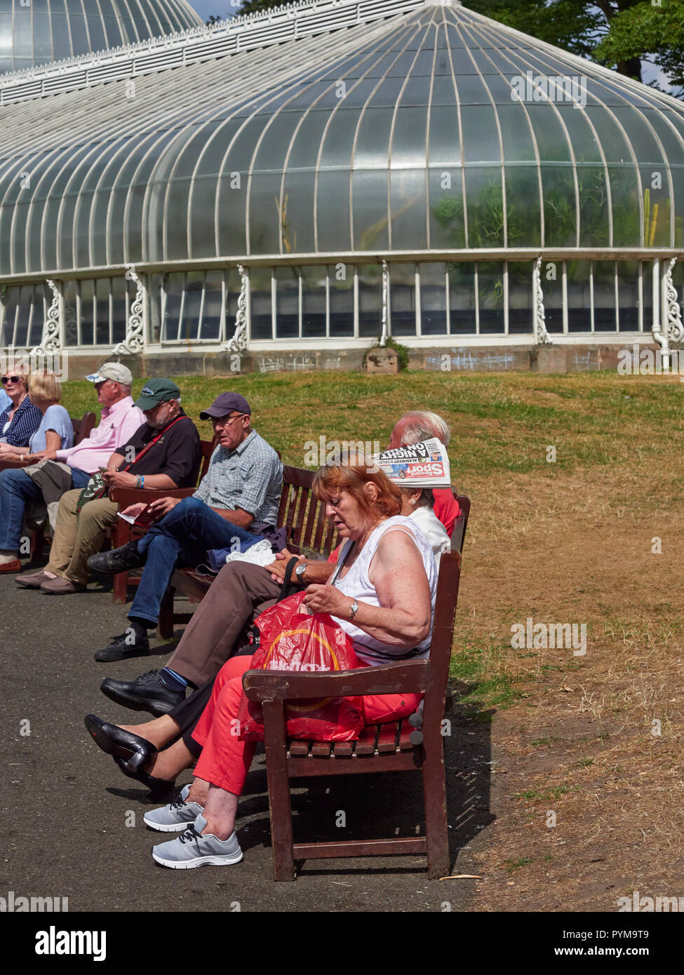Glaswegians basking in the sun on benches outside in the Glasgow Botanic Gardens Grounds in Central Glasgow, Scotland, UK. Stock Photo