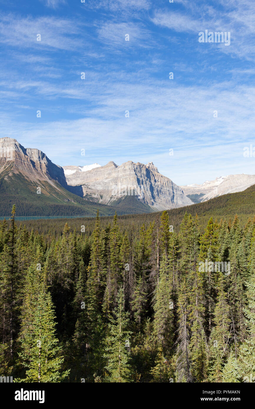 View of forests and mountains from the Icefields Parkway, Alberta, Canada Stock Photo