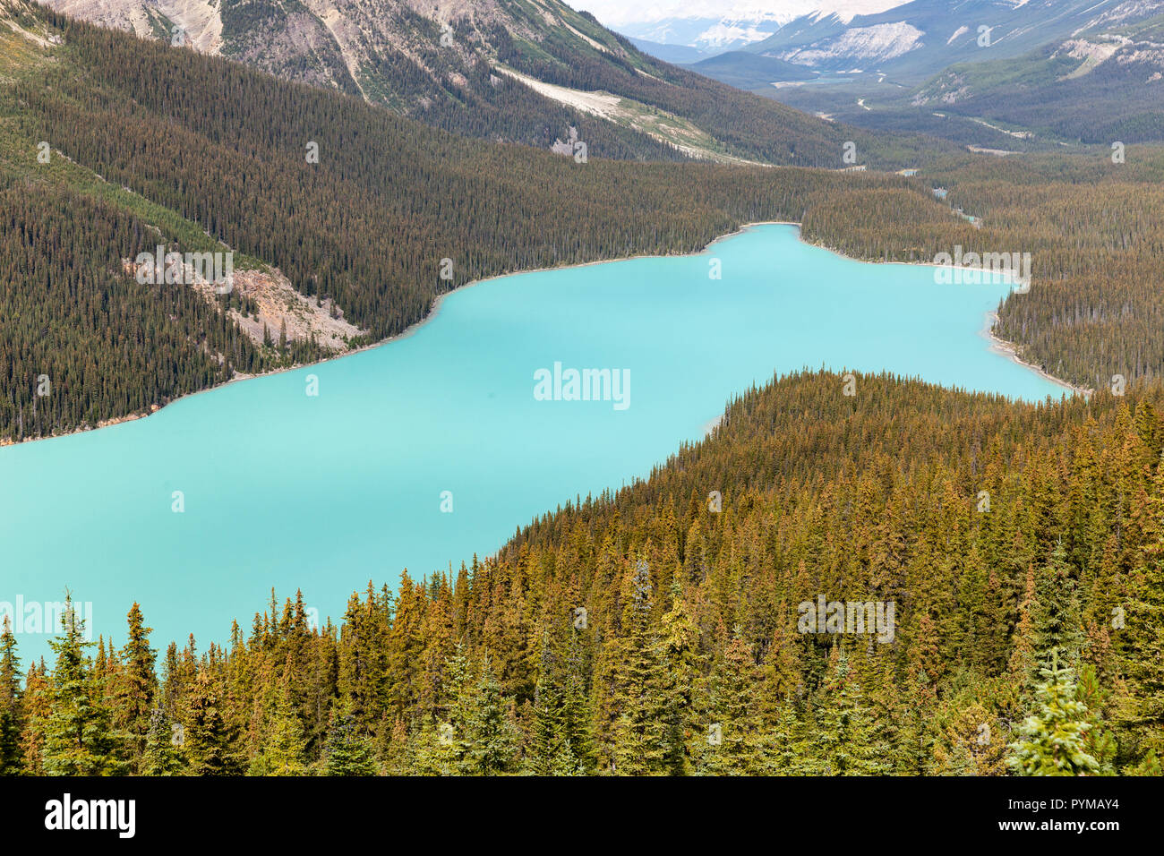 Peyto Lake, Alberta, Canada Stock Photo