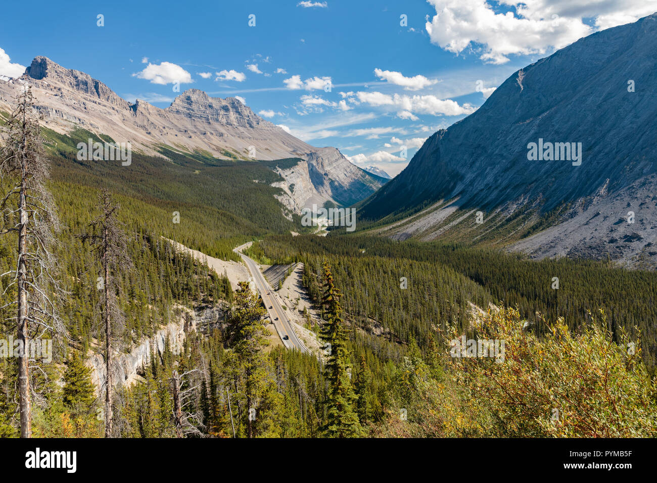 View of forests and mountains from the Icefields Parkway, Alberta, Canada Stock Photo