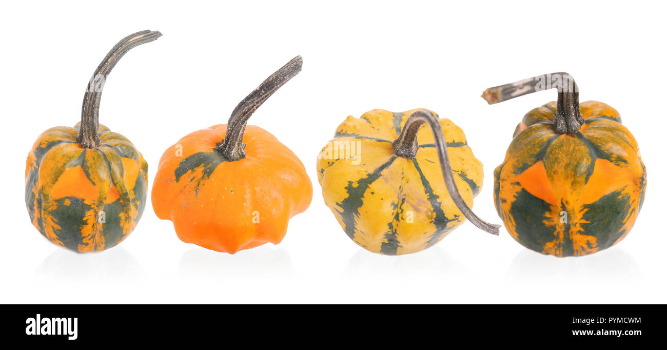 Autumn composition of decorative pumpkins isolated on white background ...