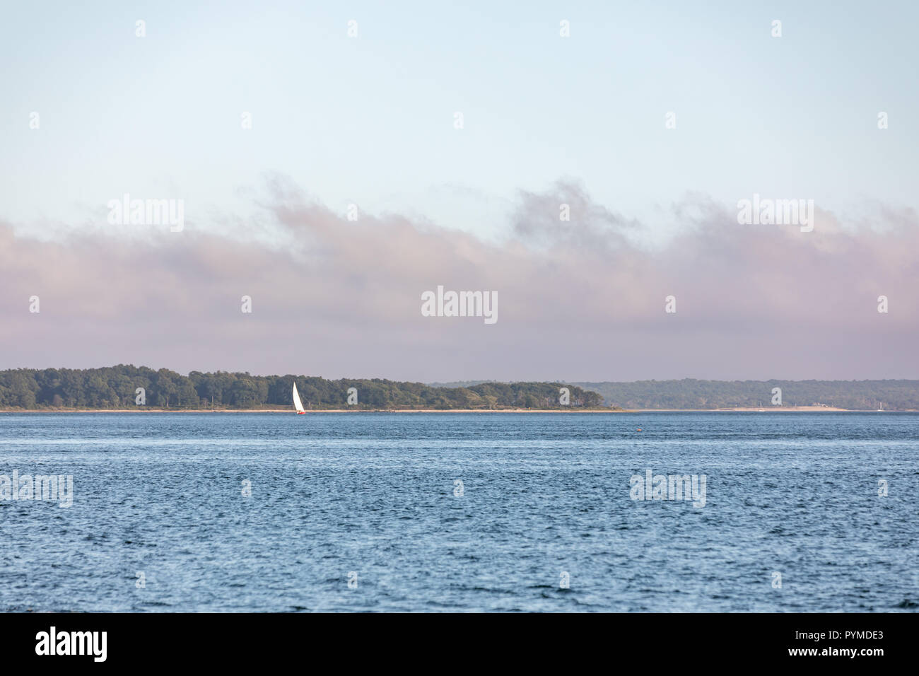 A single sail boat sailing in Sag Harbor Bay with Shelter Island in the background Stock Photo