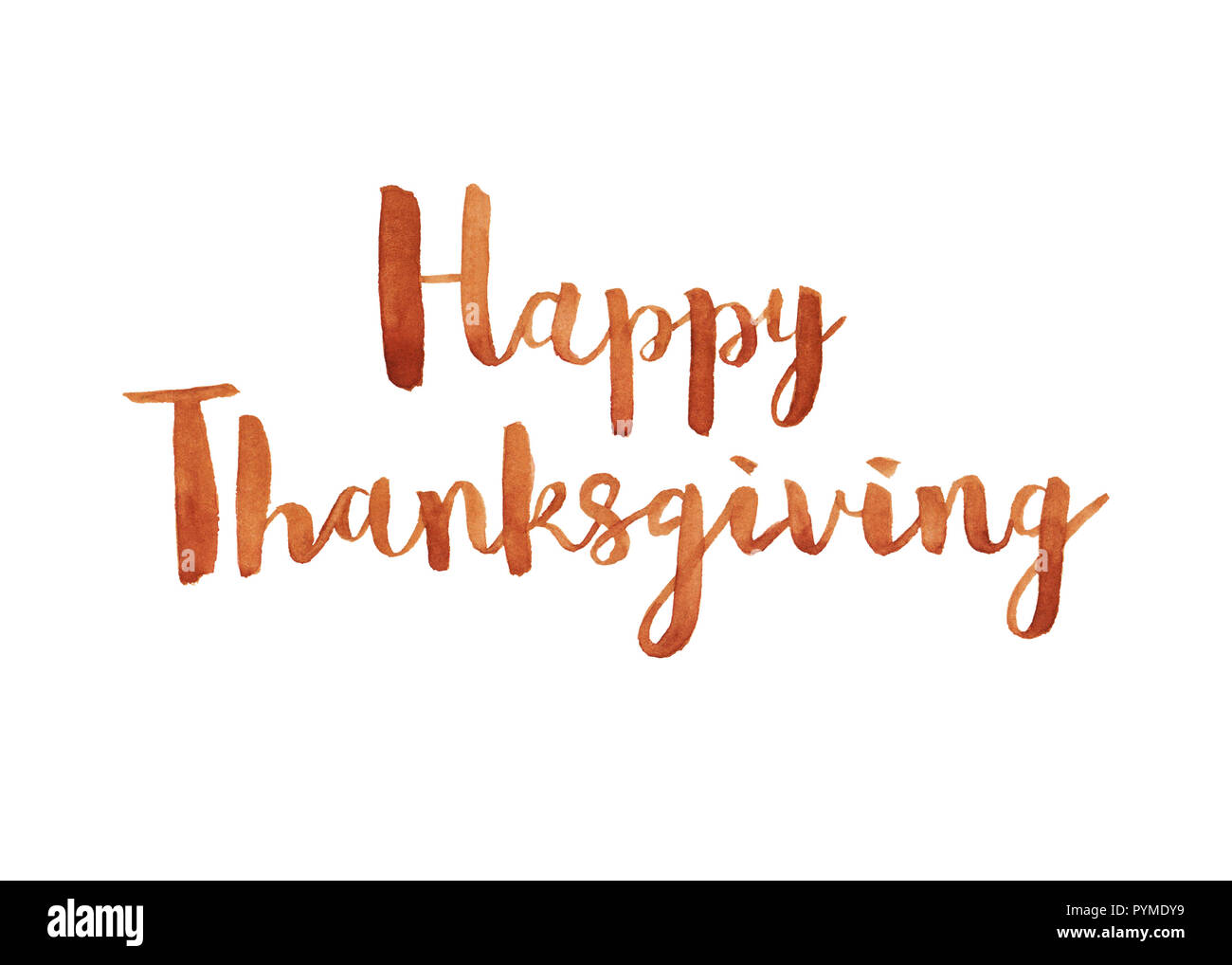 Tallahassee thanksgiving volunteer opportunities 2024