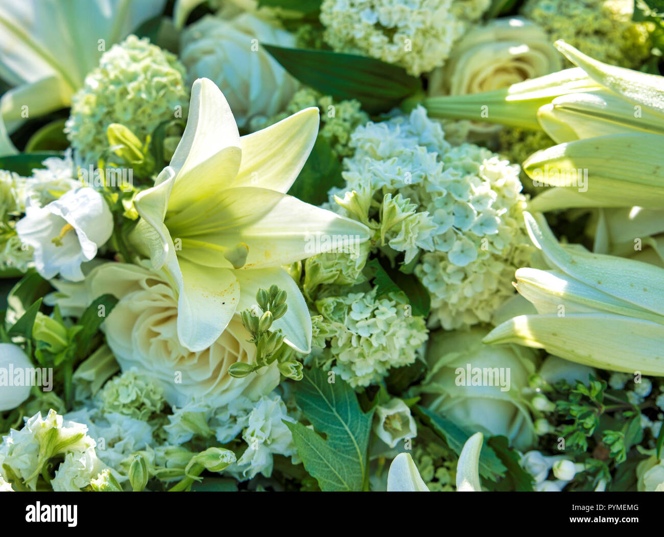 white funeral flowers with green leaves Stock Photo