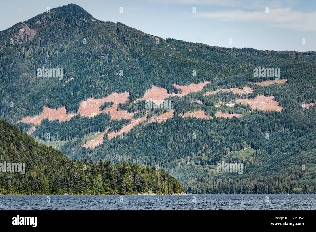 A large part of a steep mountainside in a coastal British Columbia inlet has been scarred by logging, leaving highly visible clearcut patches. Stock Photo
