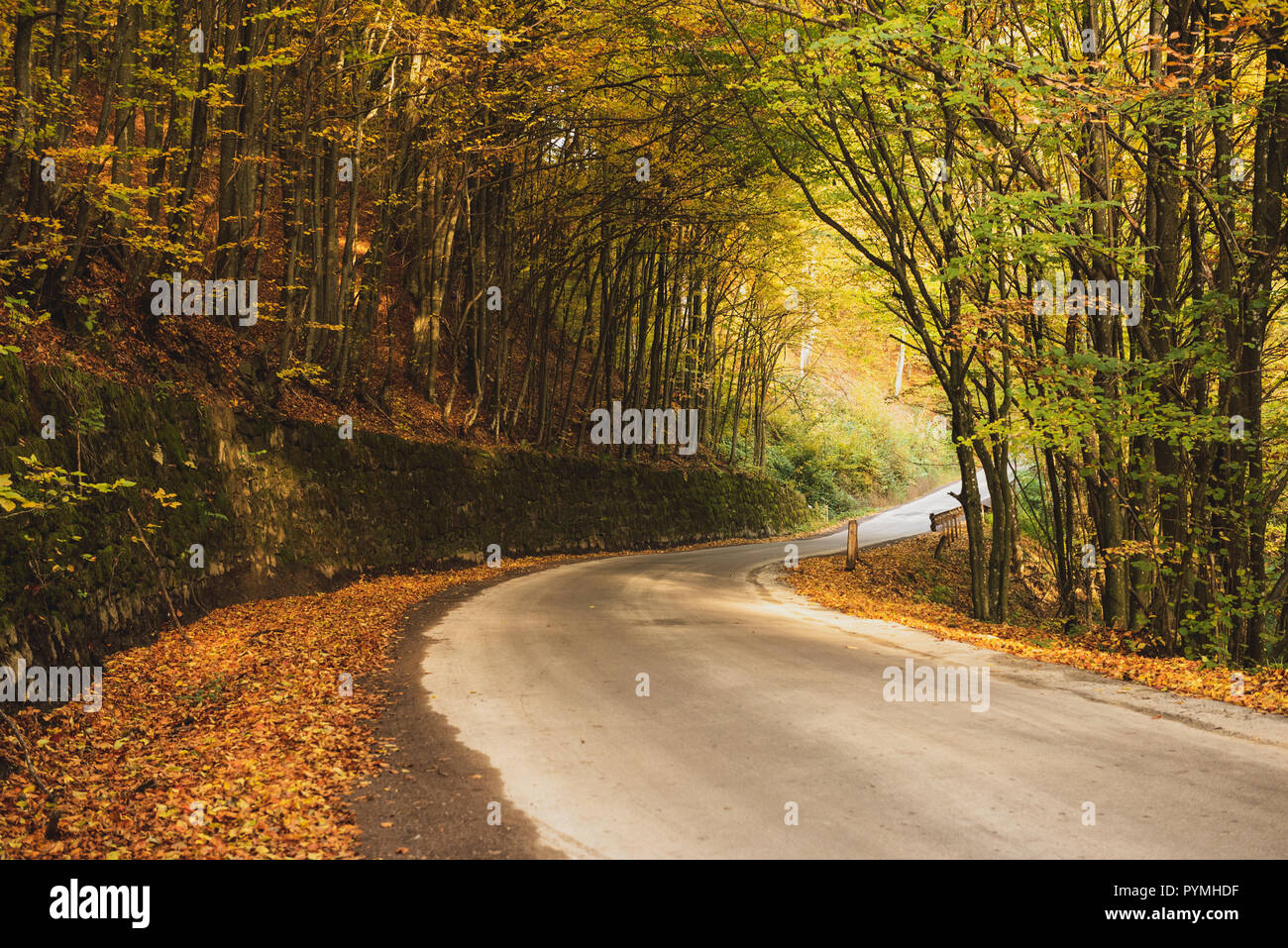 Beautiful autumn landscape Stock Photo - Alamy