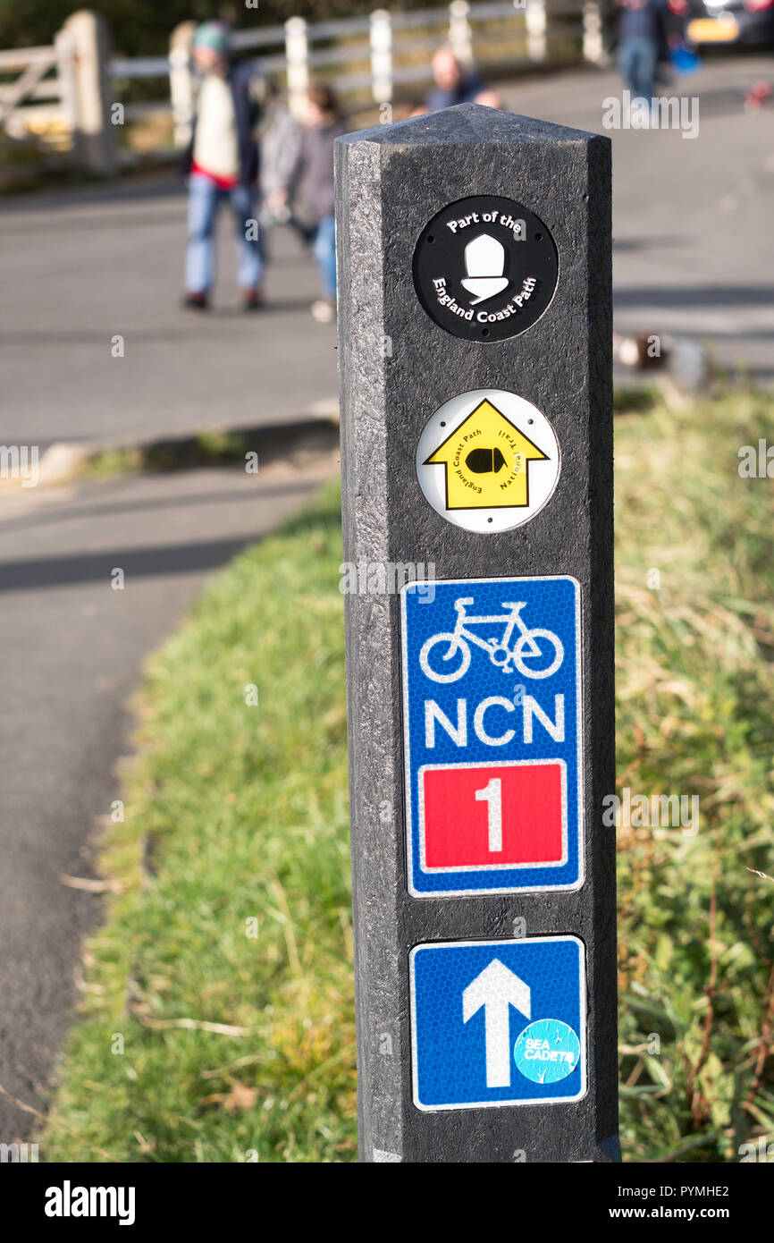 Signpost or route marker on National Cycle Network NCN route 1 and England Coast Path, north east England, UK Stock Photo
