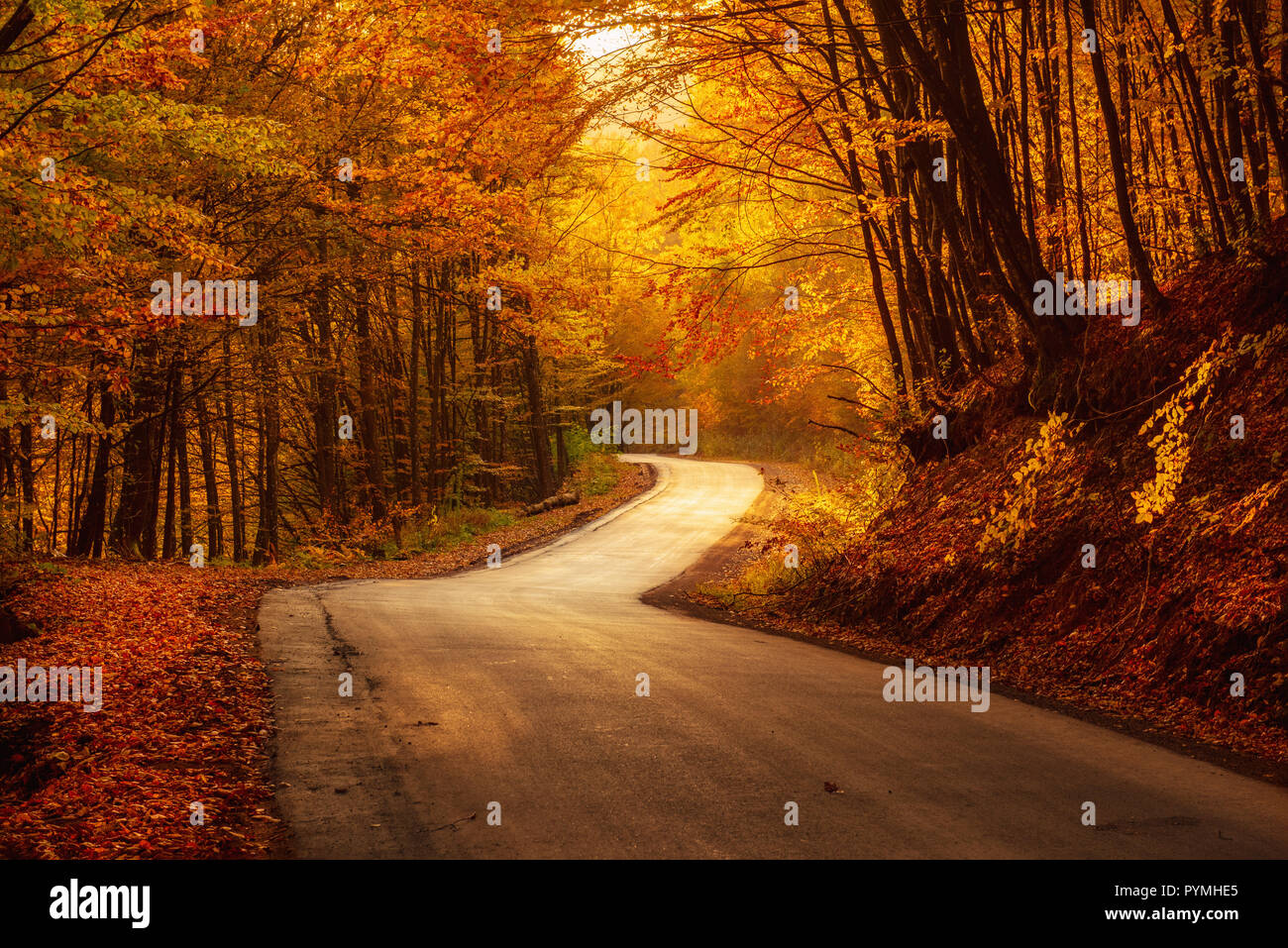 Beautiful autumn landscape Stock Photo - Alamy