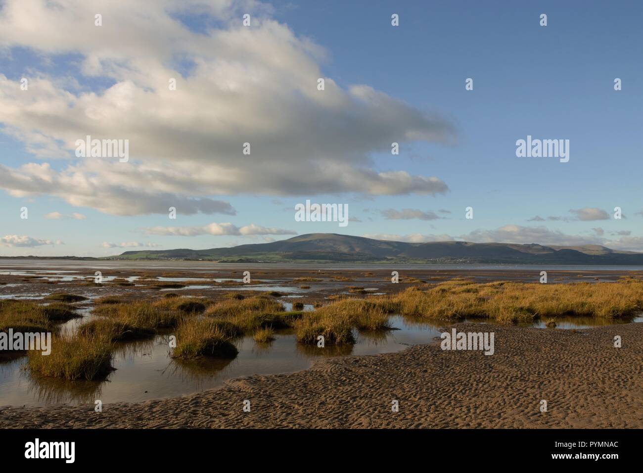 UK Dunnerholme. View towards the distant English Lake District near the Duddon Estuary. Viewed from Dunnerholme near Askam on the Cumbrian Coast UK. Stock Photo