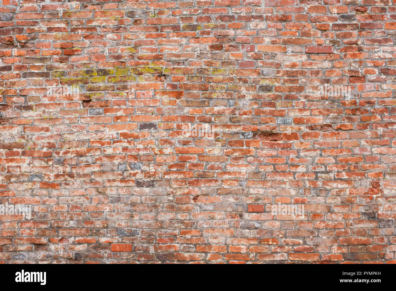 Rough textured old brick wall as a background Stock Photo