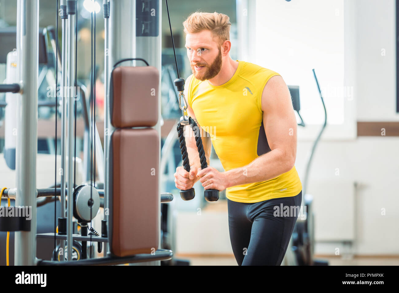 Triceps pushdown hi-res stock photography and images - Alamy