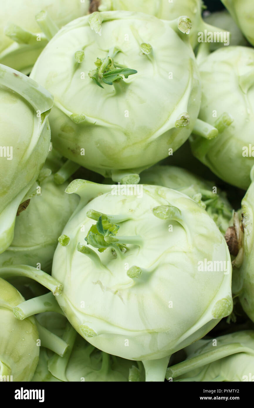 German turnips hires stock photography and images Alamy