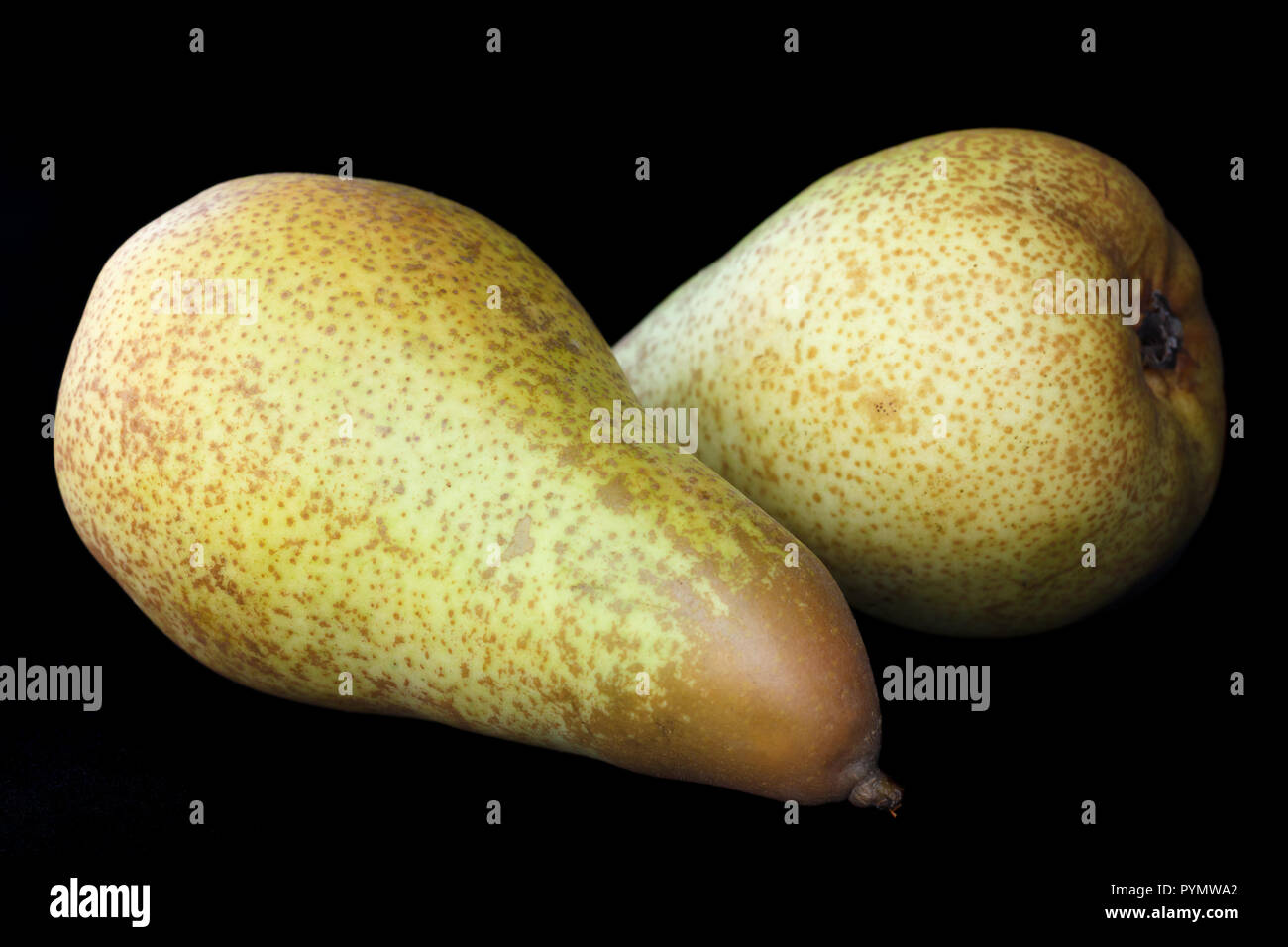 Two whole pears isolated on black. Stock Photo