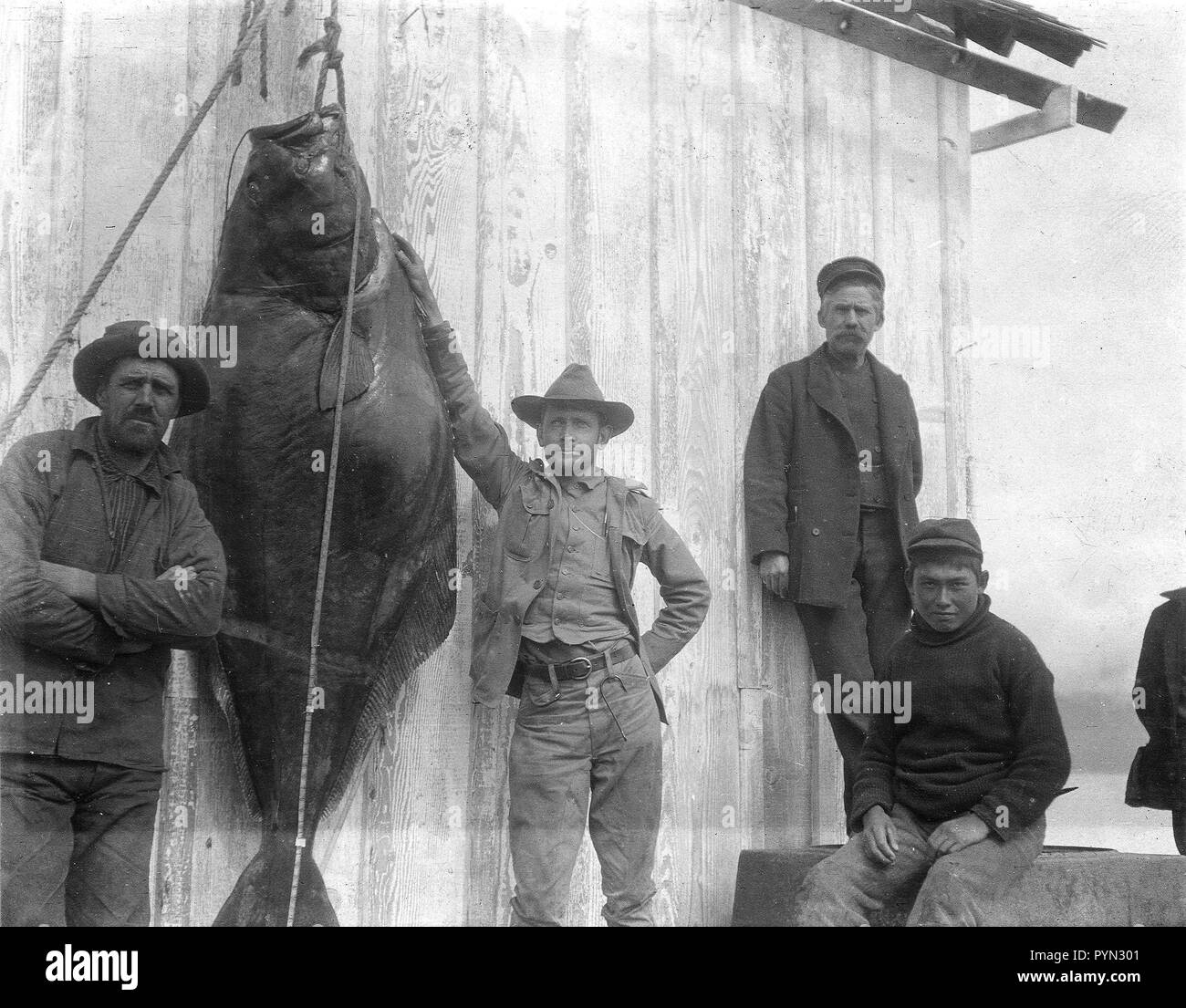 Giant halibut Black and White Stock Photos & Images Alamy