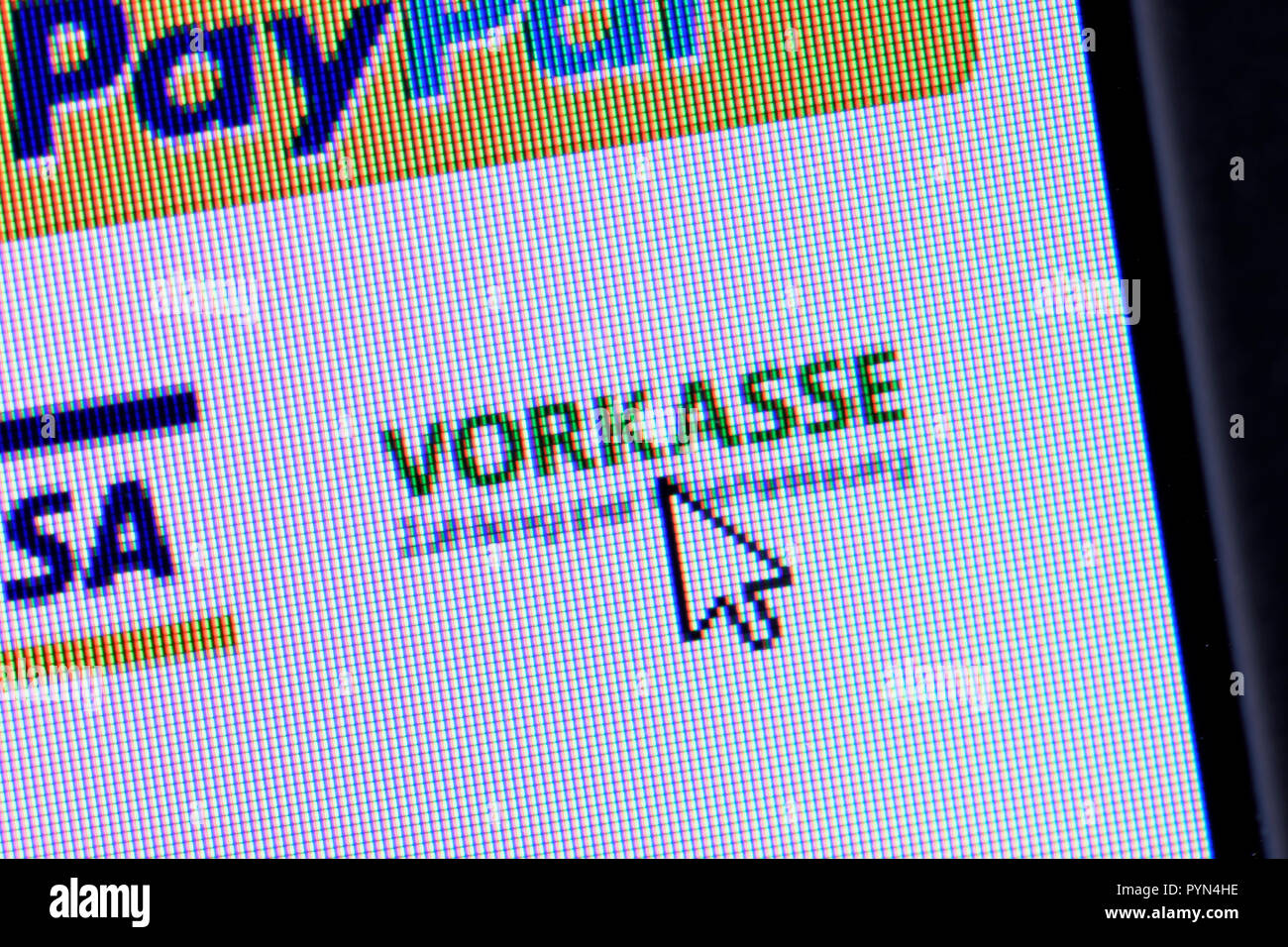Precash payment possibility in a Fake shop, Vorkasse-Zahlungsmöglichkeit in einem Fake Shop Stock Photo