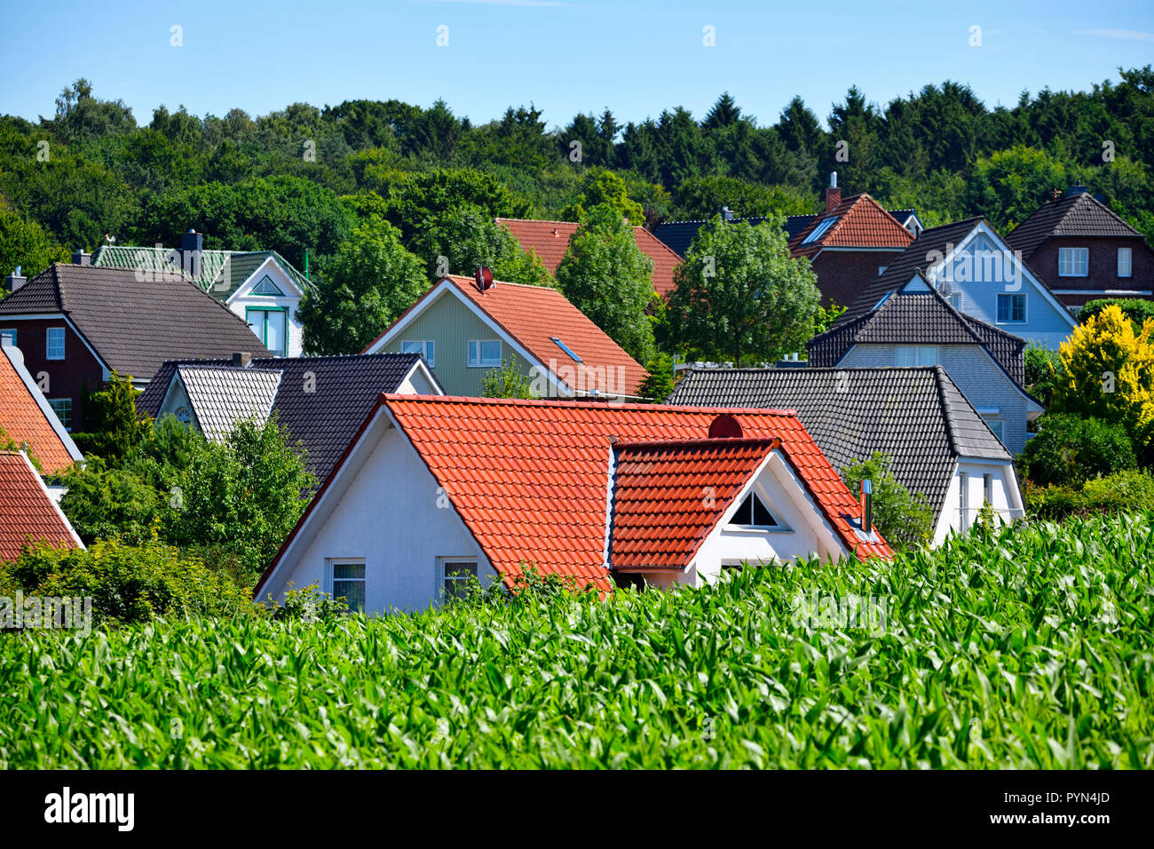 Dwelling houses, residential area in mountain Kling, Schleswig - Holstein, Germany, Wohnhäuser, Wohngebiet in Klingberg, Schleswig-Holstein, Deutschla Stock Photo