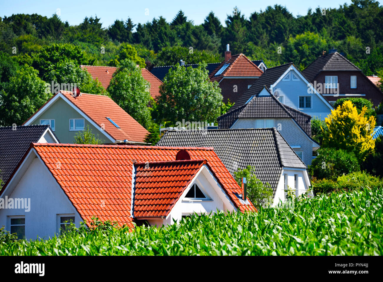 Dwelling houses, residential area in mountain Kling, Schleswig - Holstein, Germany, Wohnhäuser, Wohngebiet in Klingberg, Schleswig-Holstein, Deutschla Stock Photo