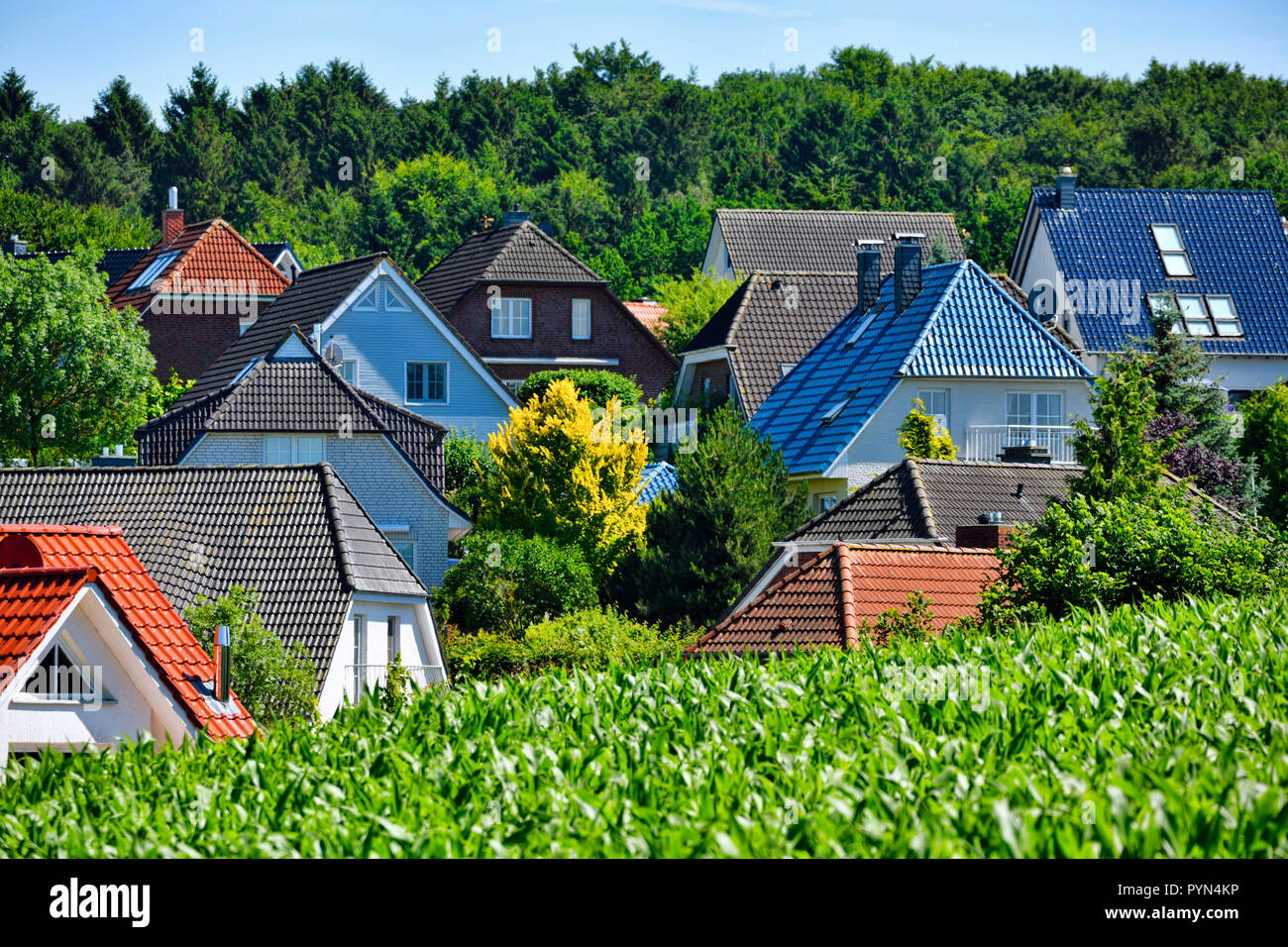 Dwelling houses, residential area in mountain Kling, Schleswig - Holstein, Germany, Wohnhäuser, Wohngebiet in Klingberg, Schleswig-Holstein, Deutschla Stock Photo