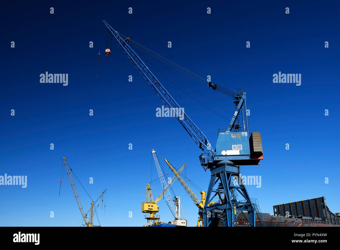 Shipyard cranes in the Hamburg harbour, Steinwerder, Hamburg, Germany, Europe, Werftkräne im Hamburger Hafen, Deutschland, Europa Stock Photo