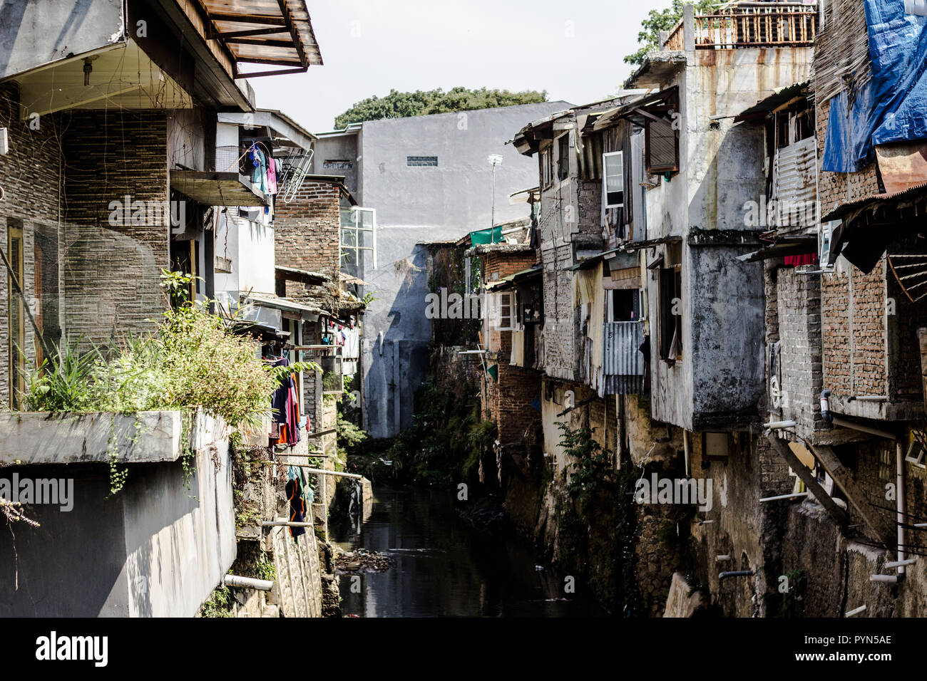 this is a residential area on the edge of the river Stock Photo