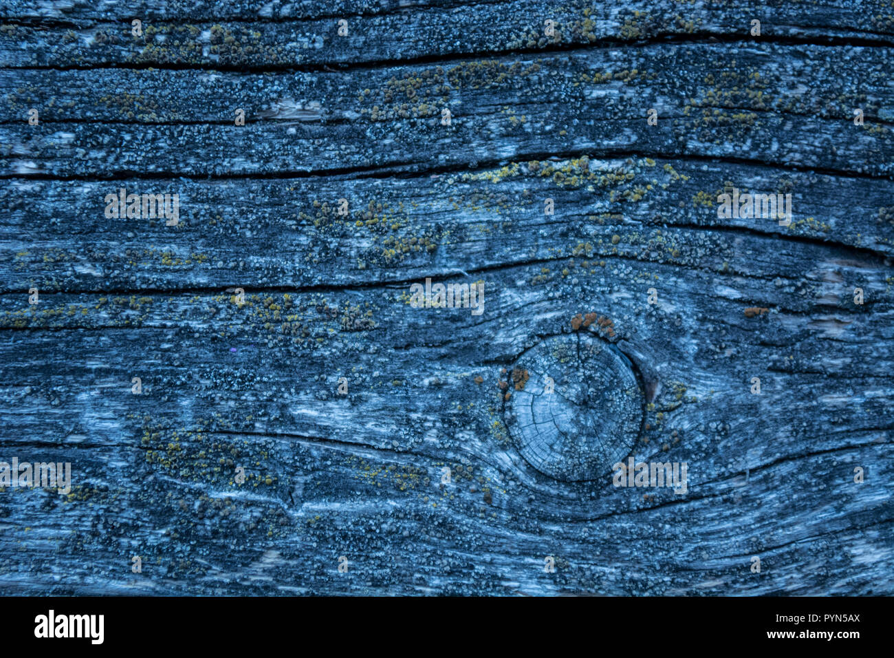 Blue realistic old wood textures Stock Photo