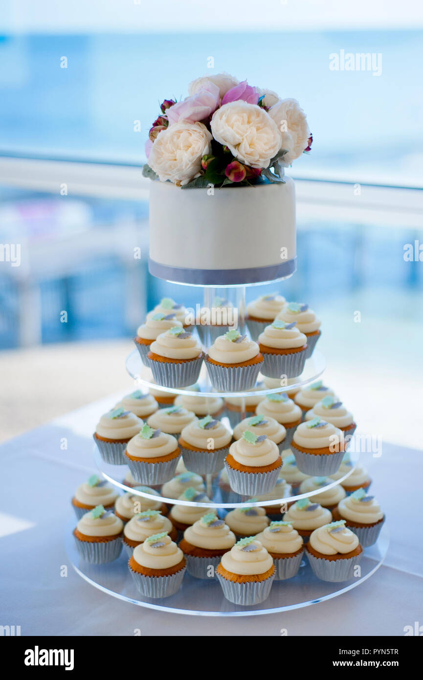 Blue Cupcakes ♥ - Cupcakes Photo (35382017) - Fanpop