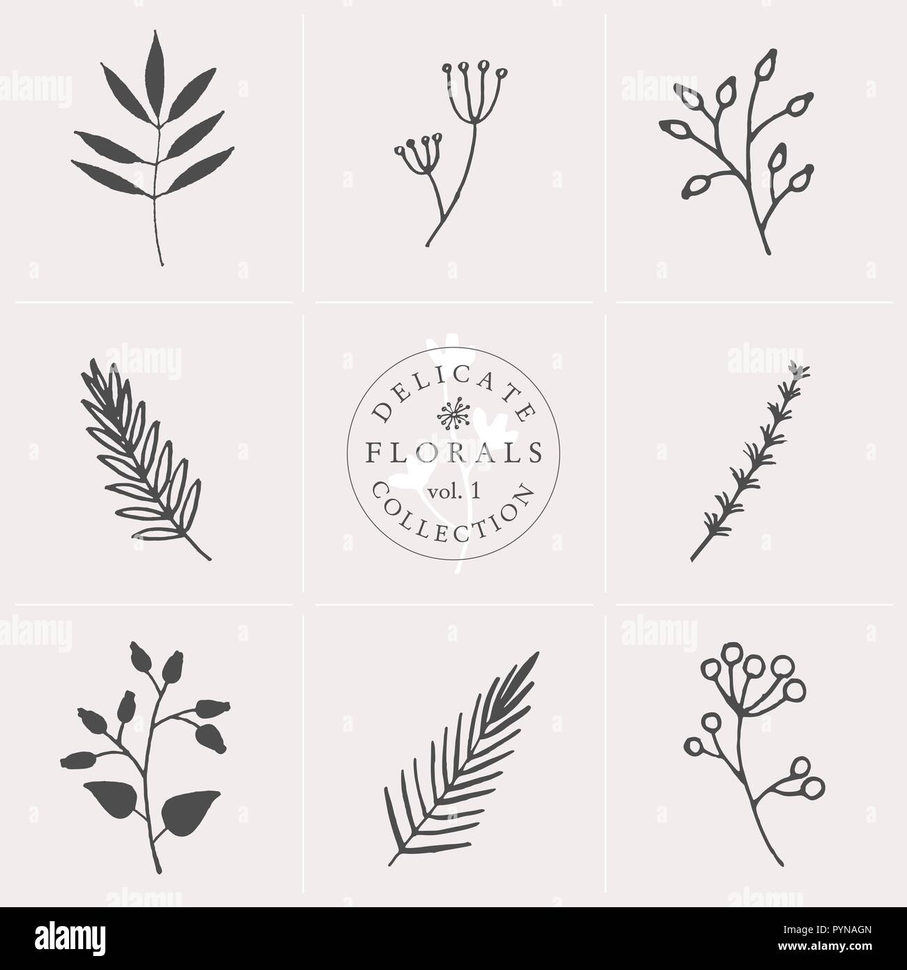 A set of nine hand drawn floral elements in gray and white isolated on ...