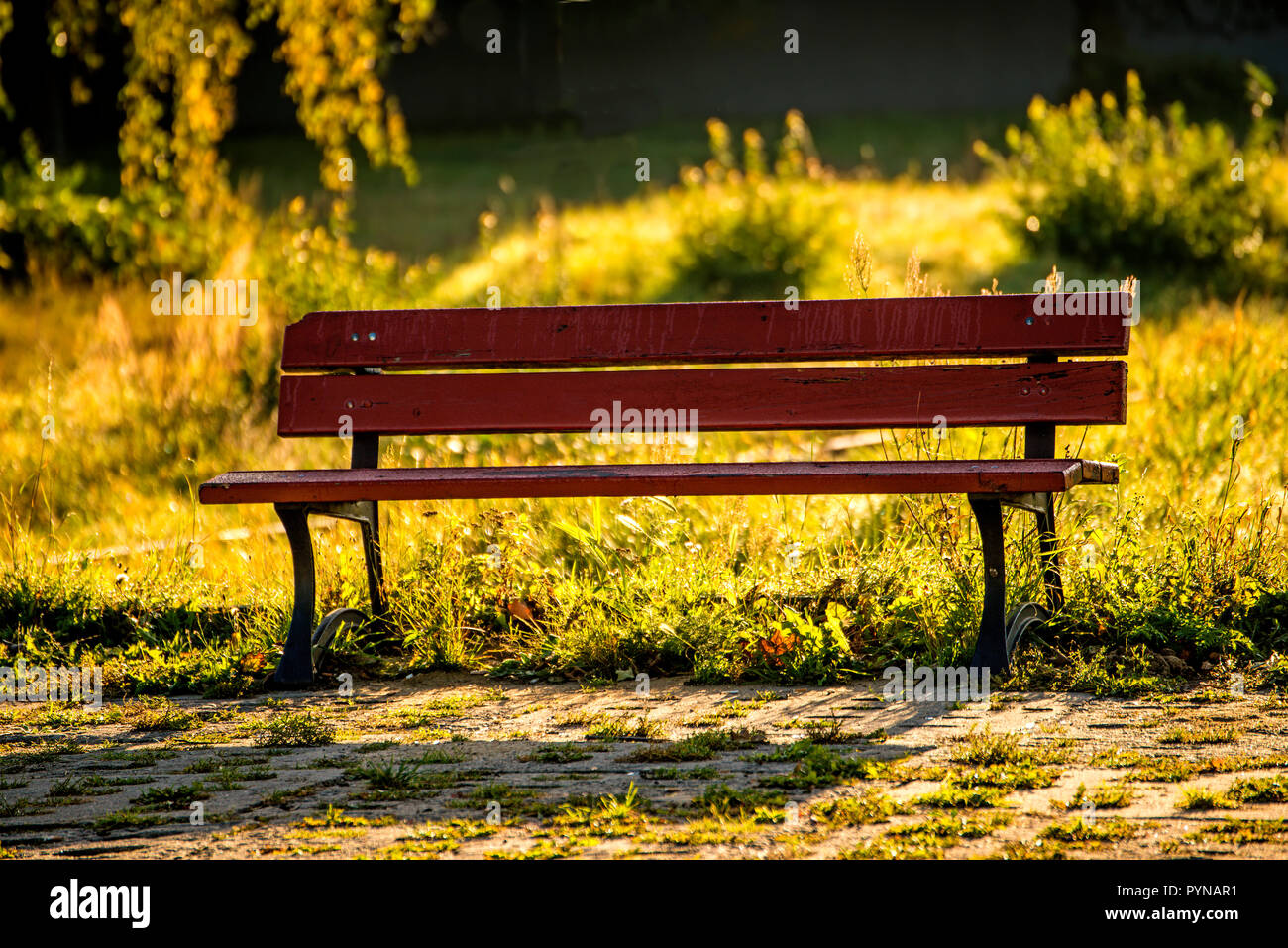 Lonesome park bench in autumn hi-res stock photography and images - Alamy