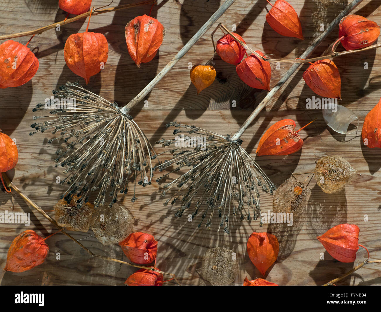 Chinese Lanterns High Resolution Stock Photography and Images - Alamy