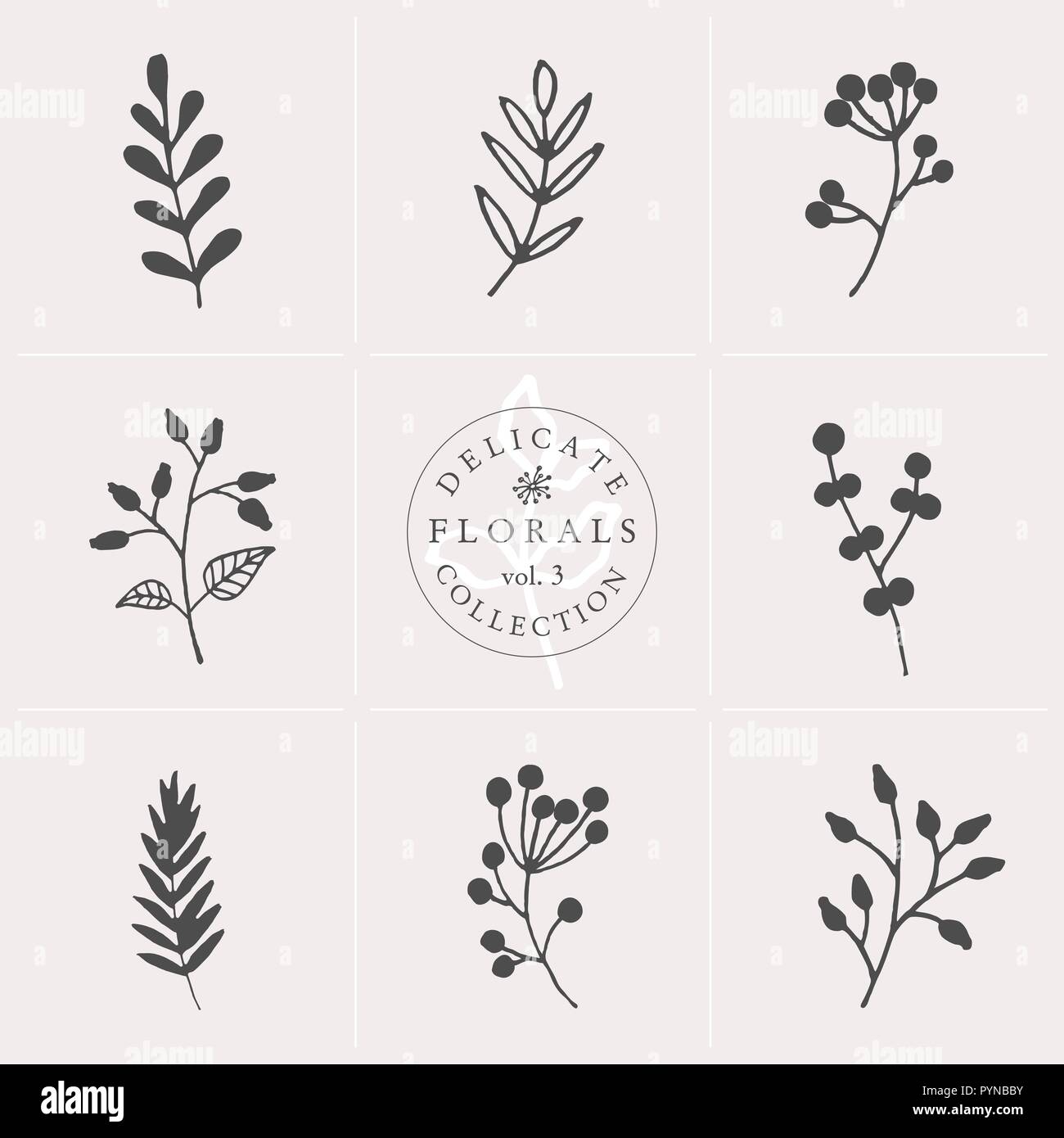 A set of nine hand drawn floral elements in gray and white isolated on ...