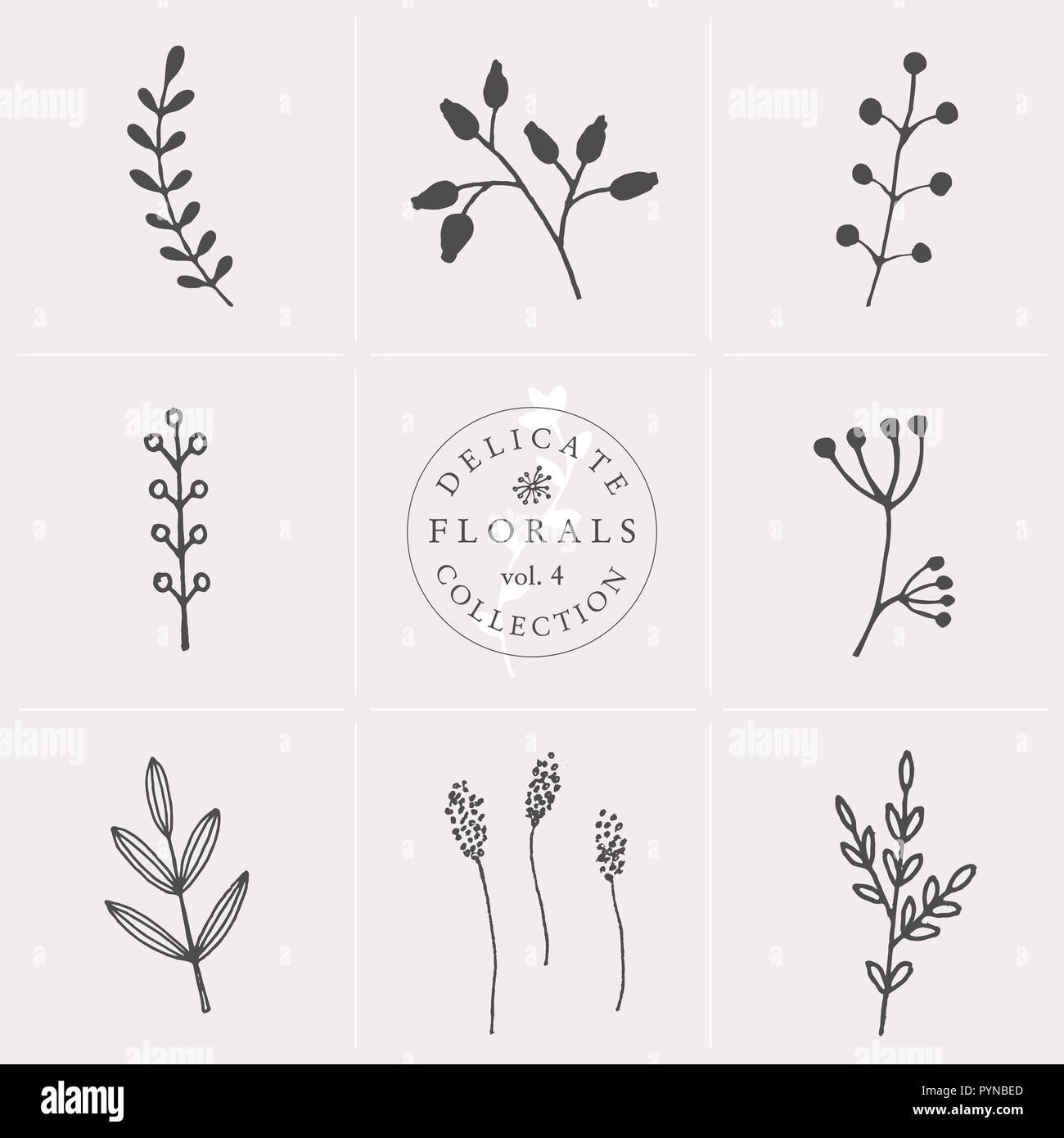 A set of nine hand drawn floral elements in gray and white isolated on ...