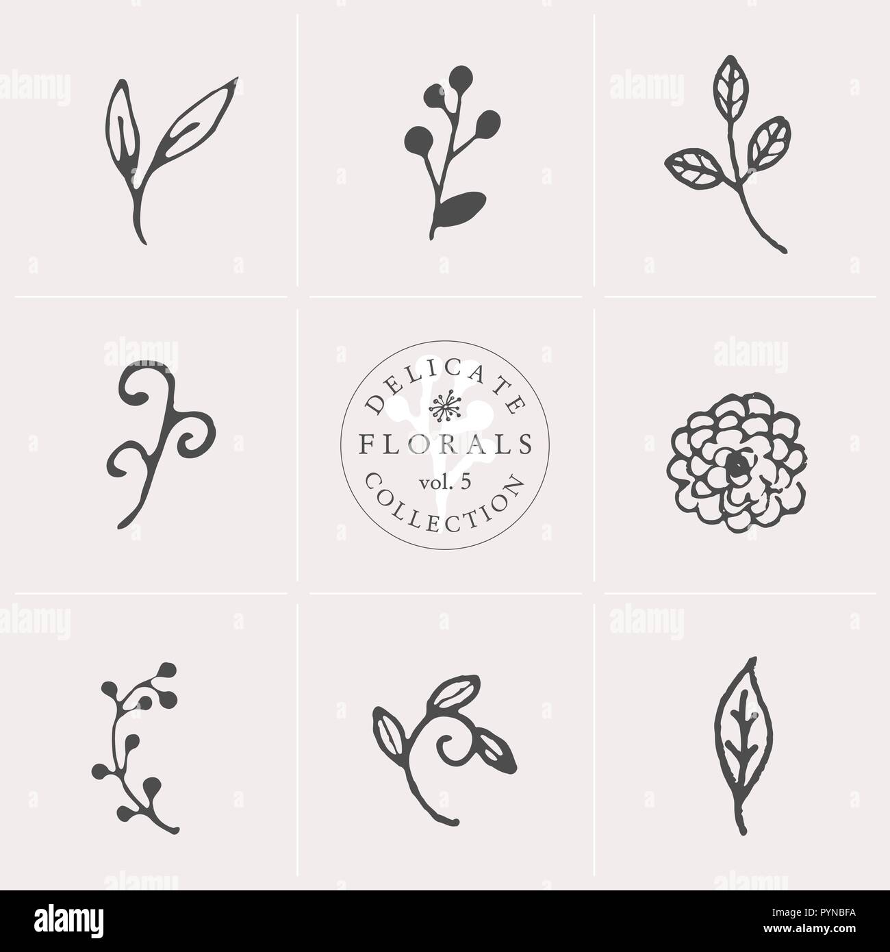 A set of nine hand drawn floral elements in gray and white isolated on ...