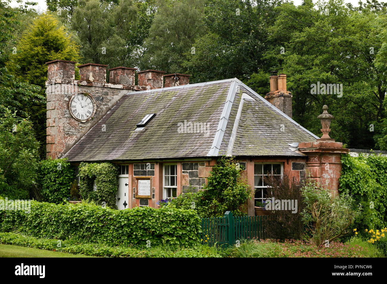 West Clock Lodge coach house in Sheriffmoor Plantation Forest at Eagle Lodge Scottish Borders Scotland UK with ivy and clock chimney Stock Photo