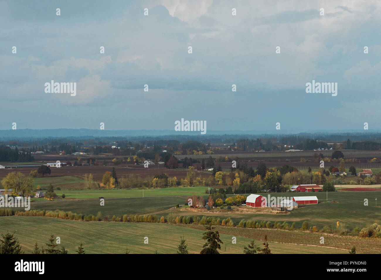 A red barn stands out in this image of of the Mount Angel area of Oregon's Willamette Valley. Stock Photo