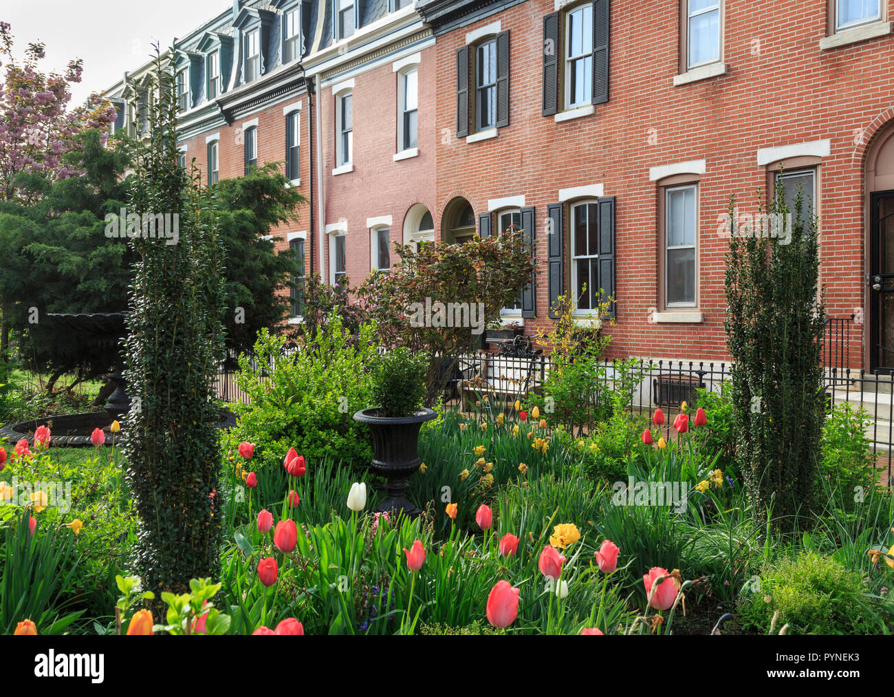 St Albans Street in Graduate Hospital neighborhood in South Philadelphia, Pennsylvania, USA Stock Photo