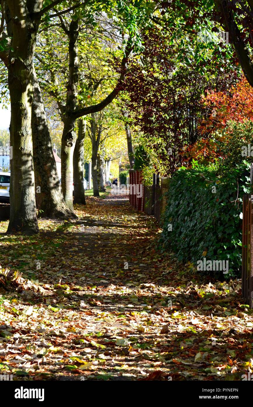 Vast Amount Stock Photos Vast Amount Stock Images Alamy