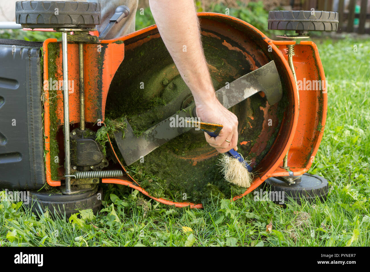 Man's hand with brush cleaning lawn mower Stock Photo
